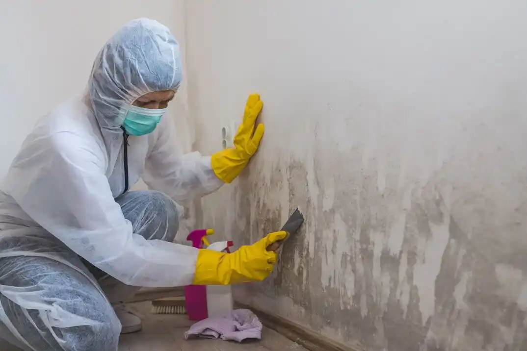 water damage restoration service Tierra Linda